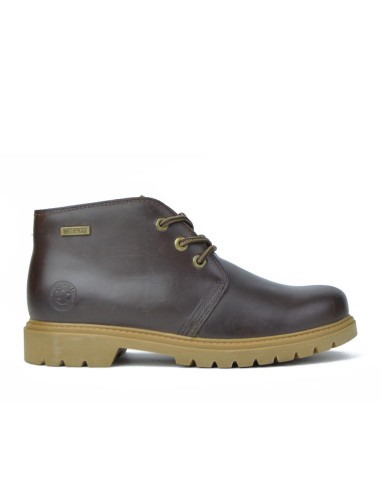 Botines Cordones Coronel Tapiocca Hombre Marrón T528-18